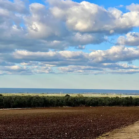 Suite-regia Domus Sovereto