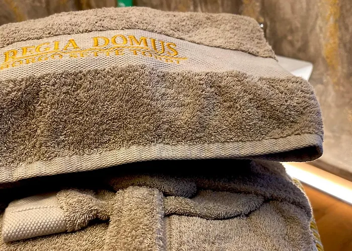 Gasthuis Suite-regia Domus